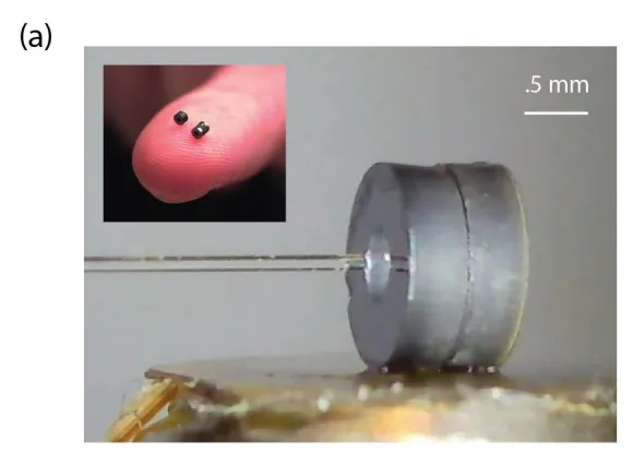 Photo of a millimeter-scale cavity attached to an optical fiber, with an inset of two cavities on a fingertip