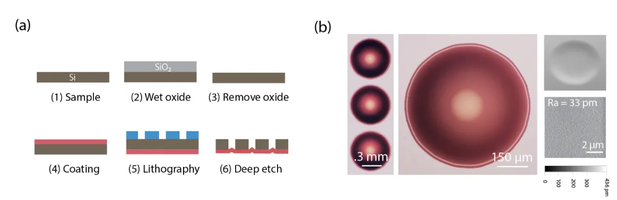 (a) The six fabrication steps: sample, wet oxide, remove oxide, coating, lithography, deep etch; (b) micrographs of the finished concave mirrors